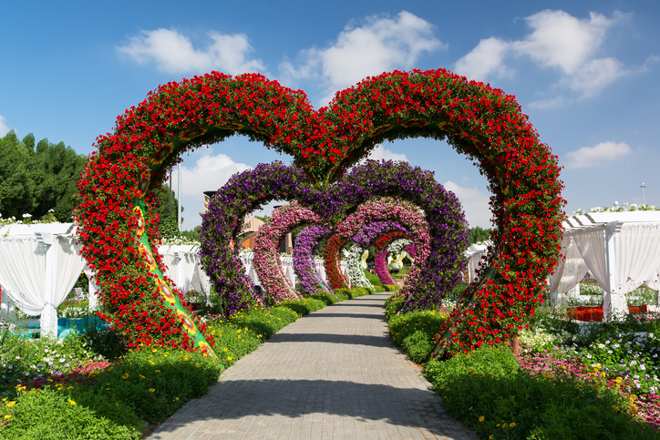 Dubai-Miracle-Garden