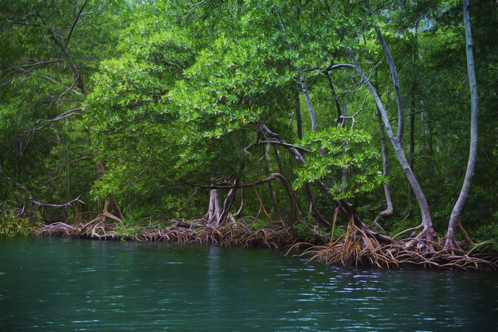 haitises.national-park 