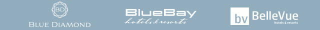BlueBay Logo