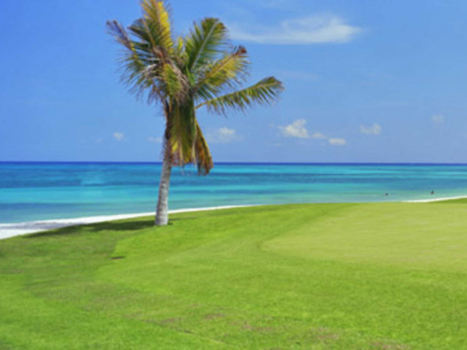 bluebaysensations_mayakoba golf classic II