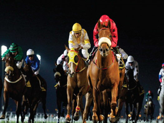 Dubai World cup 02