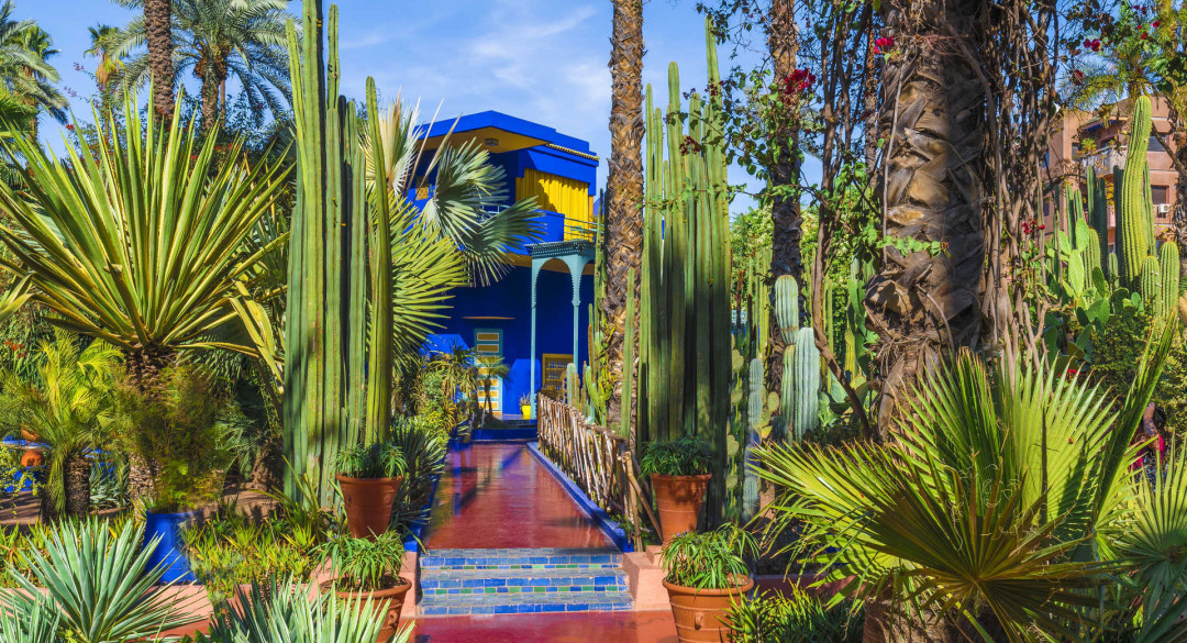 jardines_majorelle_blog