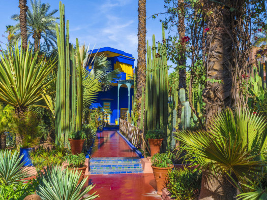 jardines_majorelle_blog