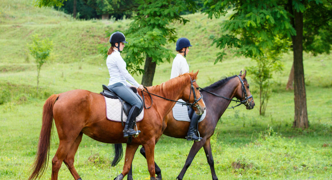 montar a caballo