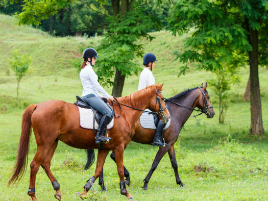 montar a caballo