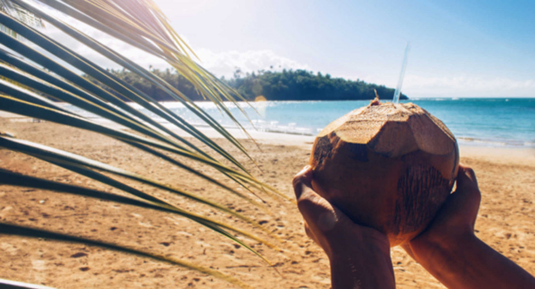 Woman holding coconut cocktail in tropical beach with her hands