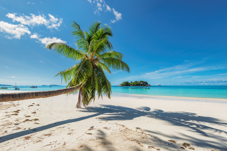 White sand beach with palm tree on tropical island in Caribbean sea. Summer vacation and holiday travel concept.