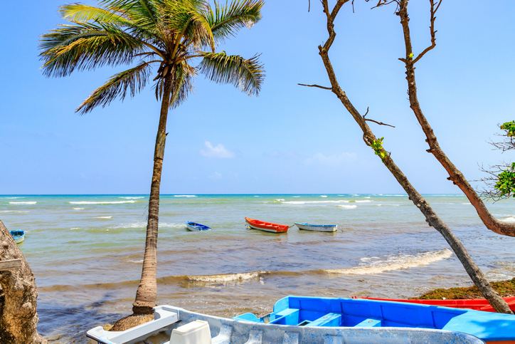 Fishing boats on the beach with palm trees. Malecon, Puerto Plata, Dominican Republic