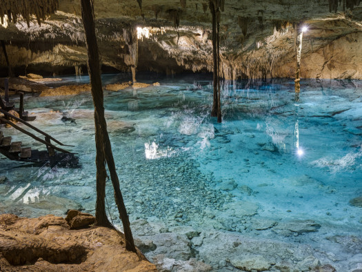 Cenote Riviera Maya, Playa del Carmen, Mexico.