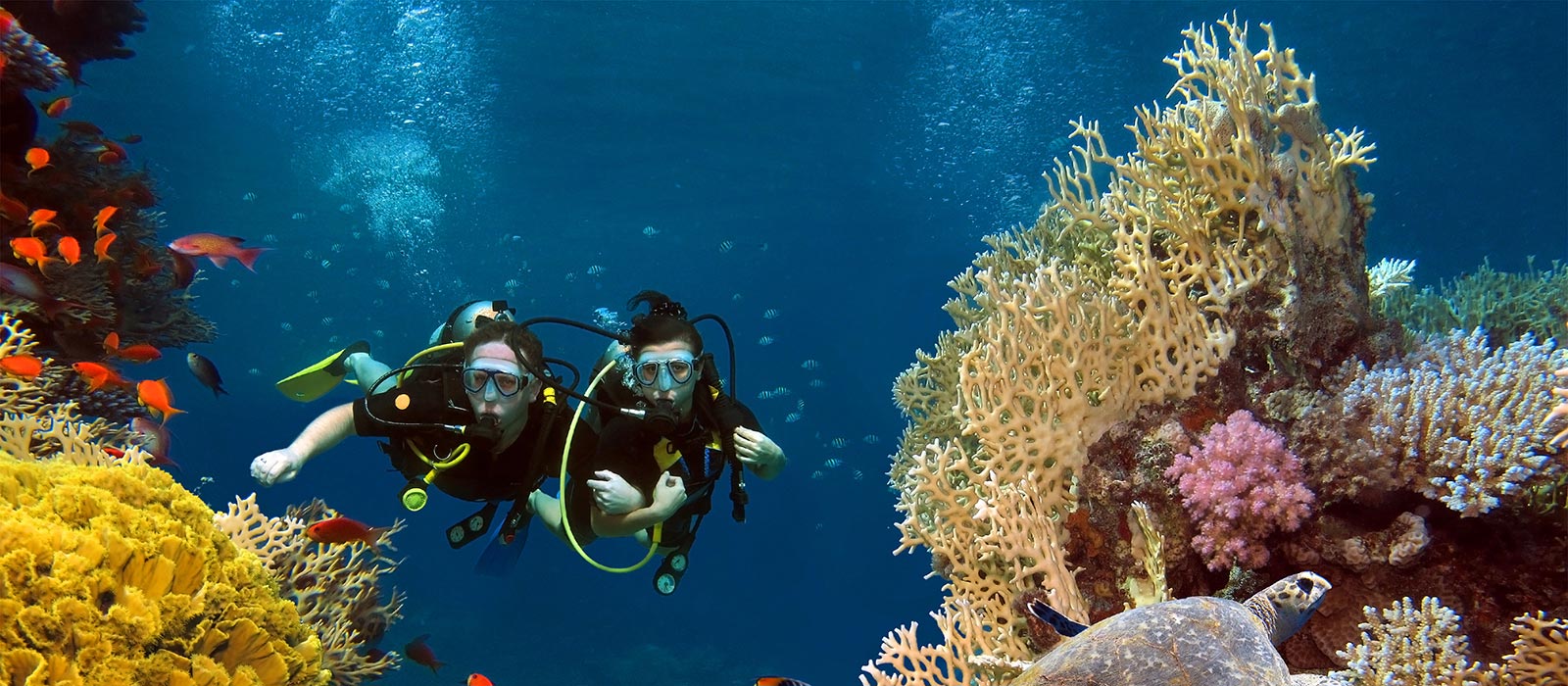 Una experiencia de buceo en hoteles de Bluebay Hotels & Resorts