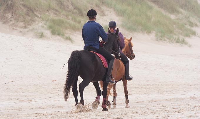 Experiencia paseo en caballo en hoteles Bluebay Resorts