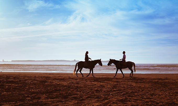 Experiencia paseo en caballo en hoteles Bluebay Resorts