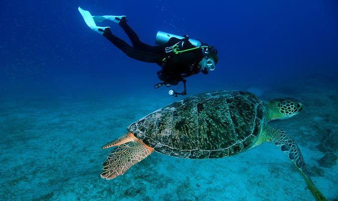 Una experiencia de buceo en hoteles de Bluebay Hotels & Resorts