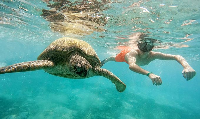 Experiencia snorkeling en hoteles Bluebay Hotels & Resorts