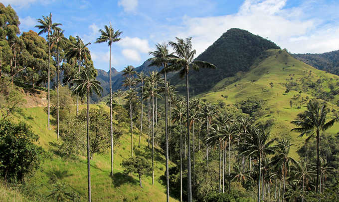 Visita el Jardín Botánico de Quindío
