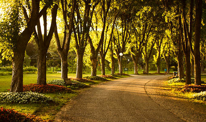 Bursa, a green treasure