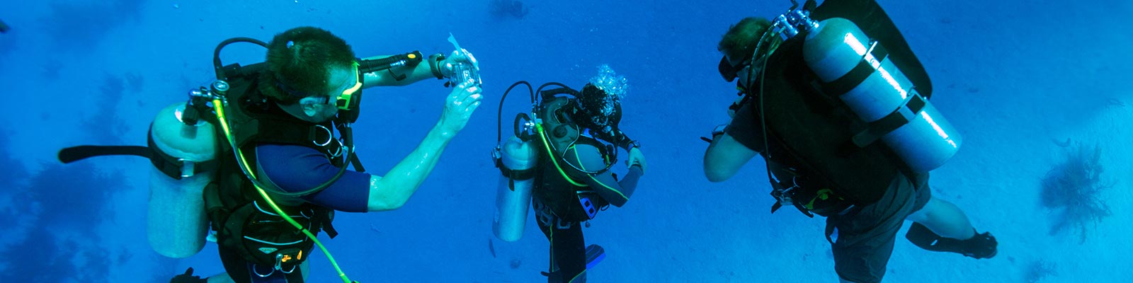 Explore the underwater world of Punta Cana