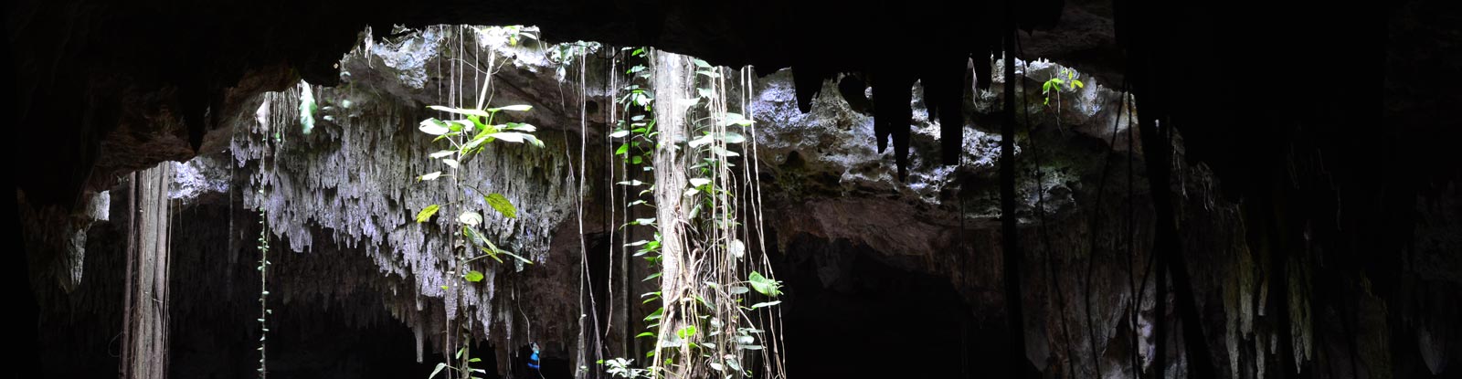 Nagez dans la piscine naturelle de Chaak Tun