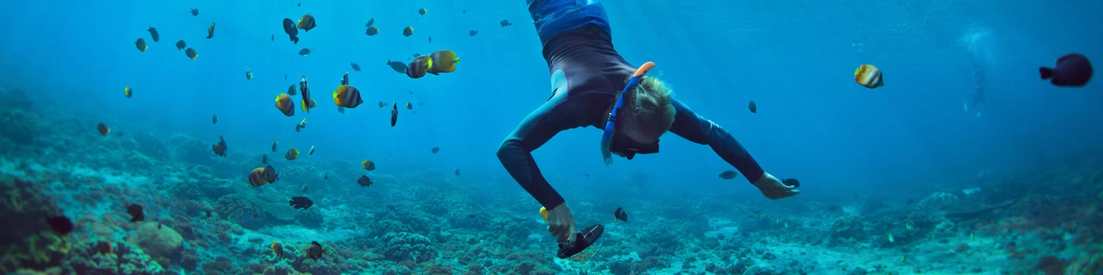 Discover the wonders of the ocean
