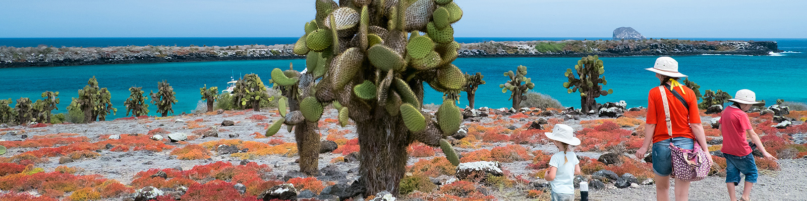 Hiking in paradise