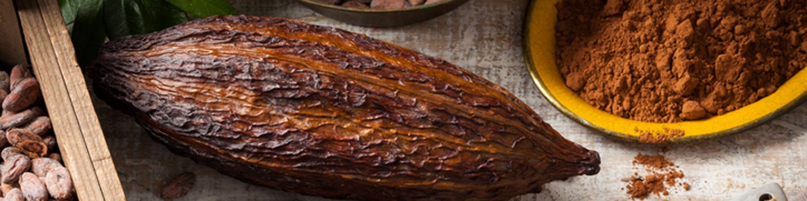 Ecuadorian chocolate, a delicacy full of flavour and cocoa 