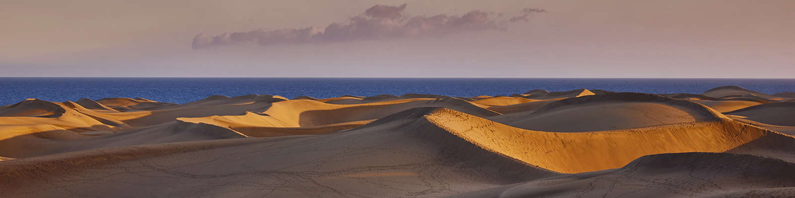 Impactantes desiertos y oasis canarios