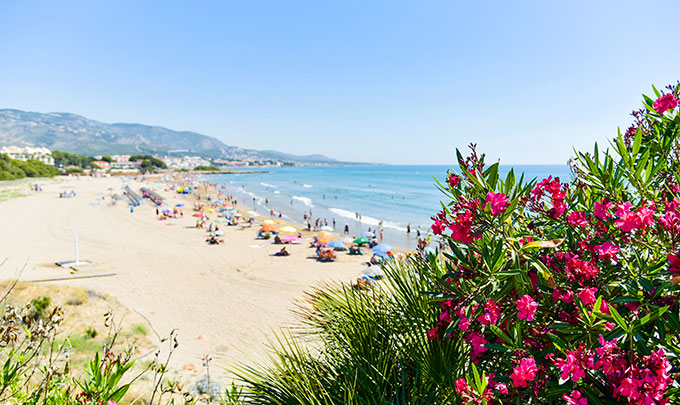 Erleben Sie Bellevue Apartments Moncada von BlueBay Hotels & Resorts