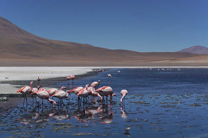 Découvrez des paysages en Bolivie que vous n\'oublierez jamais