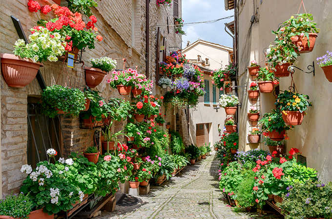 The perfect country to escape the routine