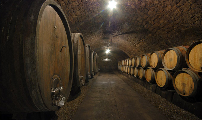 Wein als Lebensform