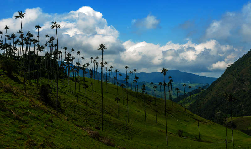 Colombian World Heritage