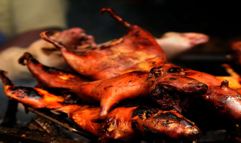 The Ecuadorian food will surprise you