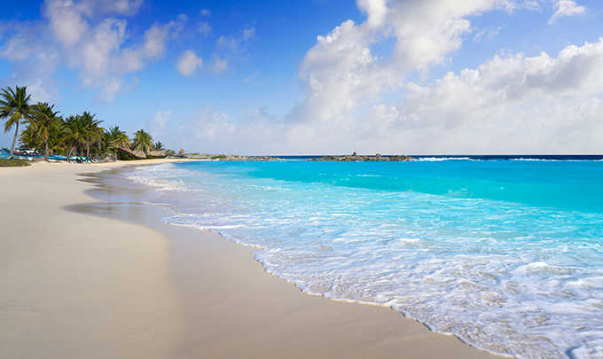 Profitez de Cozumel et de sa magie paradisiaque