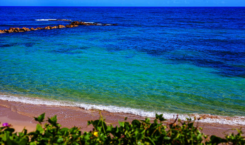 Paradise on earth